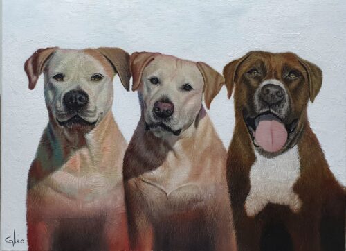 whatsapp image 2025 08 13 at 15.25.29