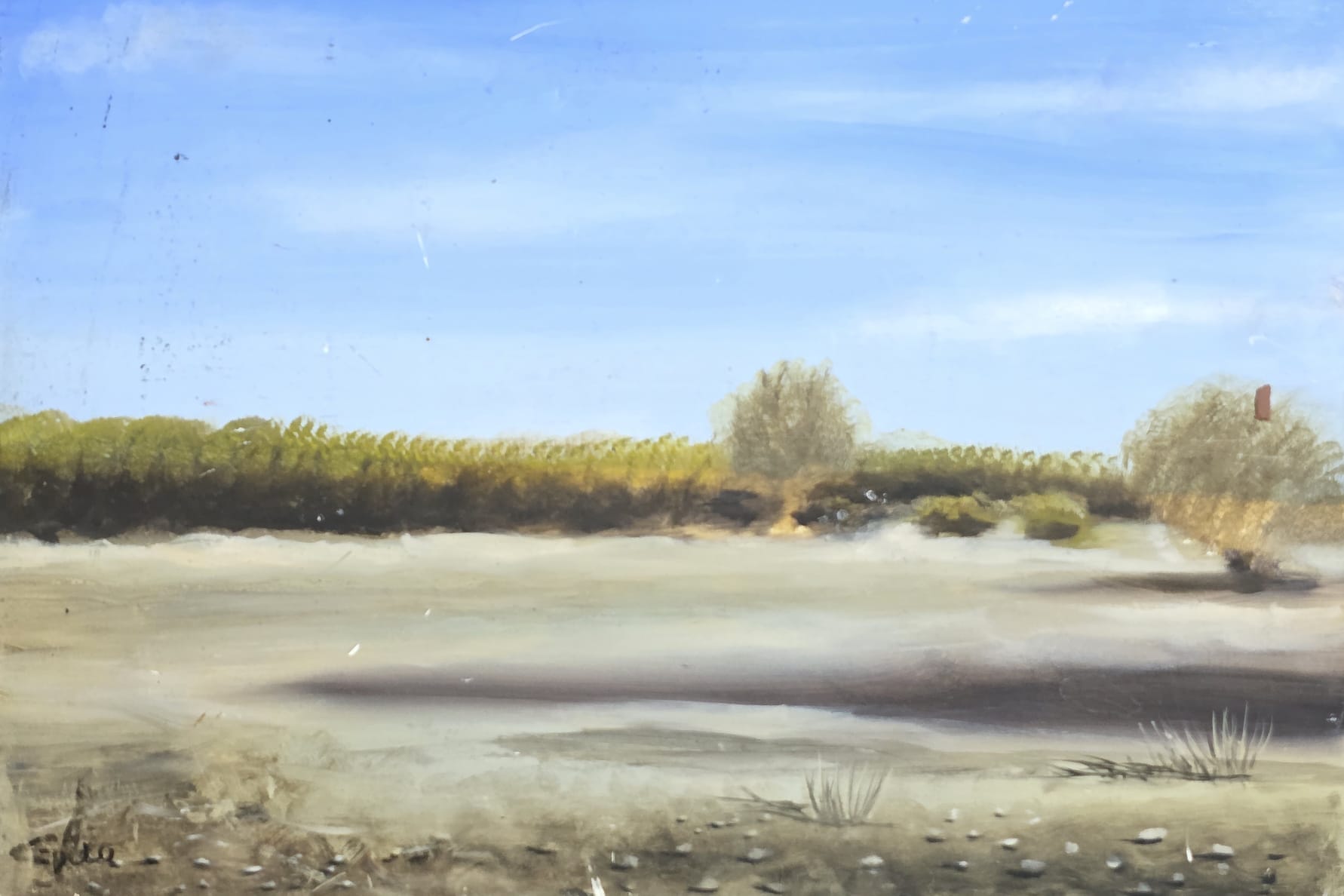 silencio del desierto silencio del desierto