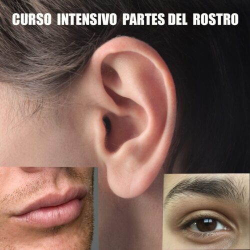 whatsapp image 2025 12 29 at 13.43.56